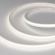 Светодиодная лента герметичная COB-PL90-X544-12mm 24V Day5000 (11.5 W/m, IP65, CSP, 5m), Arlight, 032177(2), изображение 1 Светодиодная лента герметичная COB-PL90-X544-12mm 24V Day5000 (11.5 W/m, IP65, CSP, 5m), Arlight, 032177(2), изображение 1