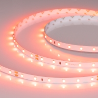 Светодиодная лента RT-A60-8mm 24V Carrot (4.8 W/m, IP20, 5m), Arlight, 055375