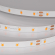 Светодиодная лента RT-A60-8mm 24V Carrot (4.8 W/m, IP20, 5m), Arlight, 055375, изображение 3 Светодиодная лента RT-A60-8mm 24V Carrot (4.8 W/m, IP20, 5m), Arlight, 055375, изображение 3