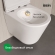 Унитаз Iddis Ray RAYRDSEi25 Унитаз Iddis Ray RAYRDSEi25
