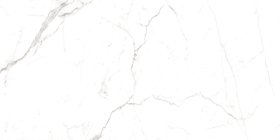 Керамогранит Creatile Whites Bianco Dolomite Matt 60x120, 216380 Керамогранит Creatile Whites Bianco Dolomite Matt 60x120, 216380