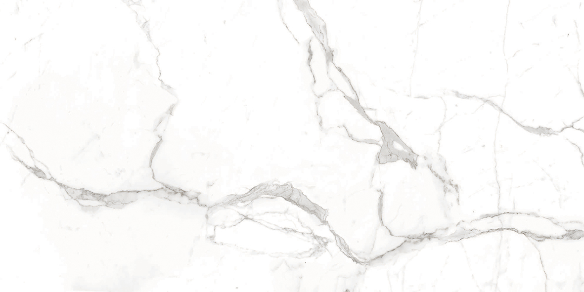Керамогранит Creatile Whites Bianco Dolomite Matt 60x120, 216380 Керамогранит Creatile Whites Bianco Dolomite Matt 60x120, 216380