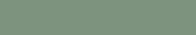 Керамогранит (карандаш) Top Cer Базовая Плитка Strip Color № 18 - Dark Green 2.1x13.7, 5STP18/1C Керамогранит (карандаш) Top Cer Базовая Плитка Strip Color № 18 - Dark Green 2.1x13.7, 5STP18/1C