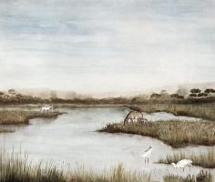 Обои Marburg Camargue, 36934