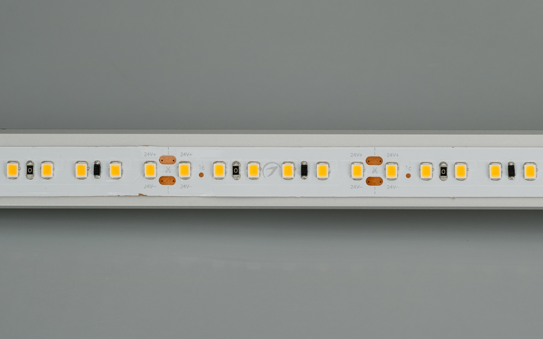 Светодиодная лента IC2-20000 24V Day4000 2x 12mm (2835, 120 LED/m, Long), Arlight, 024591, изображение 2 Светодиодная лента IC2-20000 24V Day4000 2x 12mm (2835, 120 LED/m, Long), Arlight, 024591, изображение 2