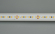 Светодиодная лента IC2-20000 24V Day4000 2x 12mm (2835, 120 LED/m, Long), Arlight, 024591, изображение 2 Светодиодная лента IC2-20000 24V Day4000 2x 12mm (2835, 120 LED/m, Long), Arlight, 024591, изображение 2