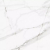 Керамогранит Prime Ceramics Callacata Silver Rect 60x60