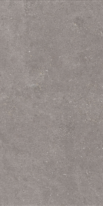 Керамогранит Artcer Stone Graniti Grey Matt Ghr 60x120 Керамогранит Artcer Stone Graniti Grey Matt Ghr 60x120