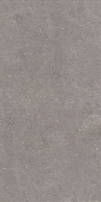 Керамогранит Artcer Stone Graniti Grey Matt Ghr 60x120 Керамогранит Artcer Stone Graniti Grey Matt Ghr 60x120