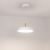 Светильник SP-ELEGANT-R300-17W Day4000 (WH, 120 deg, 230V), Arlight, 033919(1)