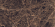 Керамогранит MDetails High Glossy Emperador Brown 60x120 Керамогранит MDetails High Glossy Emperador Brown 60x120