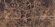 Керамогранит MDetails High Glossy Emperador Brown 60x120 Керамогранит MDetails High Glossy Emperador Brown 60x120