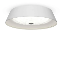 Потолочный светильник Элементы 24 Вт LED, Freya, FR10013CL-L24W Потолочный светильник Элементы 24 Вт LED, Freya, FR10013CL-L24W