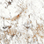 Керамогранит ITC India Burberry White Sugar 60x60