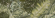 Настенная плитка Pamesa Trend / Ageri Vegetal Green 33.3x100 Настенная плитка Pamesa Trend / Ageri Vegetal Green 33.3x100