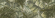 Настенная плитка Pamesa Trend / Ageri Vegetal Green 33.3x100 Настенная плитка Pamesa Trend / Ageri Vegetal Green 33.3x100