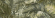 Настенная плитка Pamesa Trend / Ageri Vegetal Green 33.3x100 Настенная плитка Pamesa Trend / Ageri Vegetal Green 33.3x100