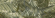 Настенная плитка Pamesa Trend / Ageri Vegetal Green 33.3x100 Настенная плитка Pamesa Trend / Ageri Vegetal Green 33.3x100