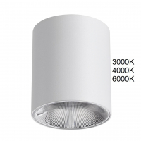Светильник IP20 LED 12W 840Лм 3000K/4000K/6000K 36° 220-240V BRIM HIGHTECH ODL26 325 ODEON LIGHT 7139/12CL
