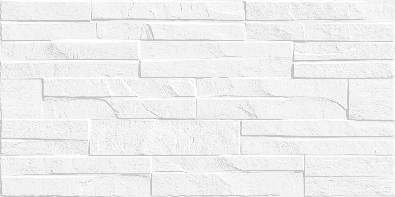 Настенная плитка Alma Ceramica Discover 24.9x50, TWU2550DCV10