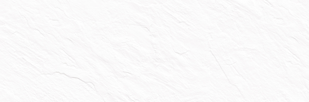 Настенная плитка Delacora Grafito Leon White 24.6x74, WT15LEN00R