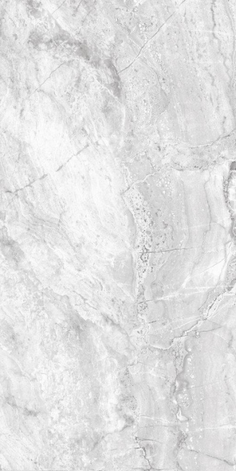 Керамогранит Axima Delhi серый 60x120 Керамогранит Axima Delhi серый 60x120