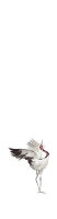 Обои Marburg Crush Motion, 63478