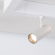 Светильник CLIP-38-SPOT-R146-6W Day4000 (WH, 24 deg, 24V), Arlight, 028940, изображение 5 Светильник CLIP-38-SPOT-R146-6W Day4000 (WH, 24 deg, 24V), Arlight, 028940, изображение 5