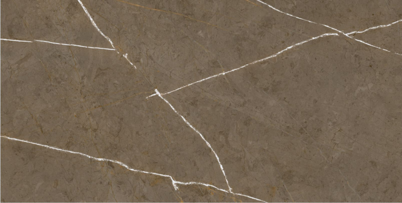 Керамогранит Basconi Home Stone Brown 3D Ink-Soft Glaze 60x120, BHM-5009 Керамогранит Basconi Home Stone Brown 3D Ink-Soft Glaze 60x120, BHM-5009