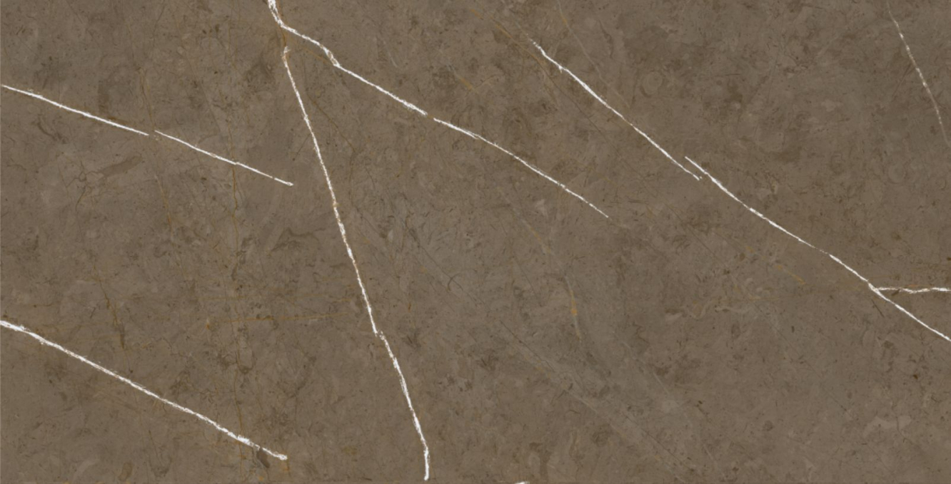 Керамогранит Basconi Home Stone Brown 3D Ink-Soft Glaze 60x120, BHM-5009 Керамогранит Basconi Home Stone Brown 3D Ink-Soft Glaze 60x120, BHM-5009