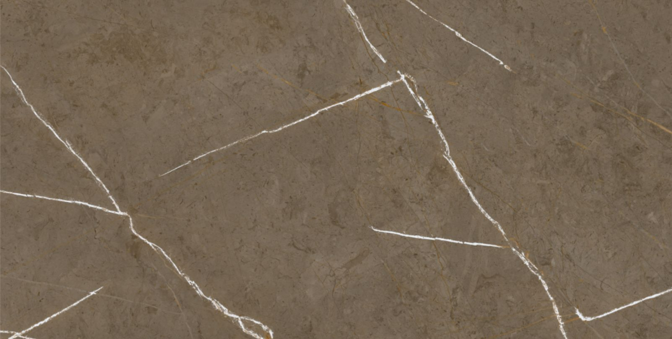 Керамогранит Basconi Home Stone Brown 3D Ink-Soft Glaze 60x120, BHM-5009 Керамогранит Basconi Home Stone Brown 3D Ink-Soft Glaze 60x120, BHM-5009