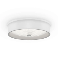 Потолочный светильник Элементы 24 Вт LED, Freya, FR10011CL-L24W Потолочный светильник Элементы 24 Вт LED, Freya, FR10011CL-L24W