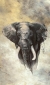 Обои Marburg Smart Art Selection, 33098