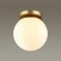 Потолочный светильник IP44 E27 LED max 5W BOSCO HIGHTECH ODL21 505 ODEON LIGHT 4247/1C, фото на цветном фоне 1 Потолочный светильник IP44 E27 LED max 5W BOSCO HIGHTECH ODL21 505 ODEON LIGHT 4247/1C, фото на цветном фоне 1