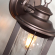 Ландшафтный настенный светильник E27 1*60W IP44 MAVRET NATURE ODL22 703 ODEON LIGHT 4961/1W, композиция 3