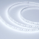 Светодиодная лента герметичная RTW-PU-A120-10.5mm 12V Cool 8K (16.8 W/m, IP68, Wire 2m, 5m), Arlight, 029595(3), изображение 2 Светодиодная лента герметичная RTW-PU-A120-10.5mm 12V Cool 8K (16.8 W/m, IP68, Wire 2m, 5m), Arlight, 029595(3), изображение 2