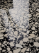Керамогранит 41zero42 Superclassica SCB Hammered 60x120, 4101007