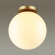 Потолочный светильник IP44 E27 LED max 9W BOSCO HIGHTECH ODL21 505 ODEON LIGHT 4248/1C, фото на цветном фоне 1