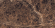 Керамогранит Pieza Ceramica Emperador 60x120, EM006012H