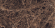 Керамогранит Pieza Ceramica Emperador 60x120, EM006012H