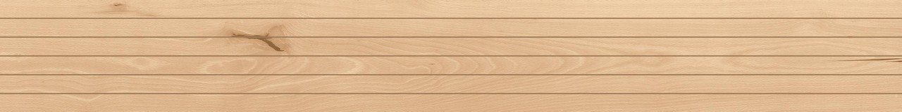 Керамогранит Atlas Concorde Log Cansei Rialto Riga 18.5x150, AX9T Керамогранит Atlas Concorde Log Cansei Rialto Riga 18.5x150, AX9T