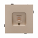 Механизм компьютерной розетки SCT-TENDO-MPC1-PL-GD (RJ-45, CAT6), Arlight, 054099, изображение 3 Механизм компьютерной розетки SCT-TENDO-MPC1-PL-GD (RJ-45, CAT6), Arlight, 054099, изображение 3