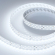 Светодиодная лента RT-A252-19mm 24V White6000 (27 W/m, IP20, 2835, 5m), Arlight, 019925(2), изображение 1 Светодиодная лента RT-A252-19mm 24V White6000 (27 W/m, IP20, 2835, 5m), Arlight, 019925(2), изображение 1