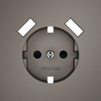 Накладка для розетки с заземлением и защитными шторками, с USB A+A, S70 (капучино), Voltum, VLS000914