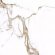 Керамогранит Prime Ceramics Carrara Bronze Rect 60x60 Керамогранит Prime Ceramics Carrara Bronze Rect 60x60