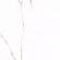 Керамогранит Prime Ceramics Carrara Bronze Rect 60x60 Керамогранит Prime Ceramics Carrara Bronze Rect 60x60