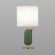 Настольная лампа E27 1*60W CACTUS MODERN ODL_EX24 099 ODEON LIGHT 5425/1T, фото на цветном фоне 1 Настольная лампа E27 1*60W CACTUS MODERN ODL_EX24 099 ODEON LIGHT 5425/1T, фото на цветном фоне 1