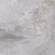 Керамогранит Pieza Ceramica Fior Di Bosco Grey 60x60, FI006060N
