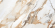 Керамогранит Creatile Whites Calcutta Gold Borghini Carving 60x120, 219005 Керамогранит Creatile Whites Calcutta Gold Borghini Carving 60x120, 219005