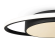 Потолочный светильник, Freya, FR10015CL-L62B Потолочный светильник, Freya, FR10015CL-L62B